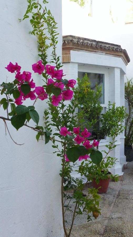 Bed and Breakfast Patios Del Agua à El Puerto de Santa María Extérieur photo